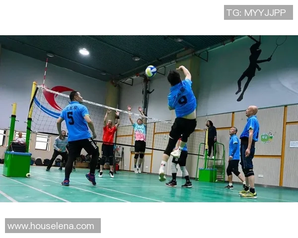 成都排球队最新排球配合TOP10揭晓引领风骚技战术全面升级